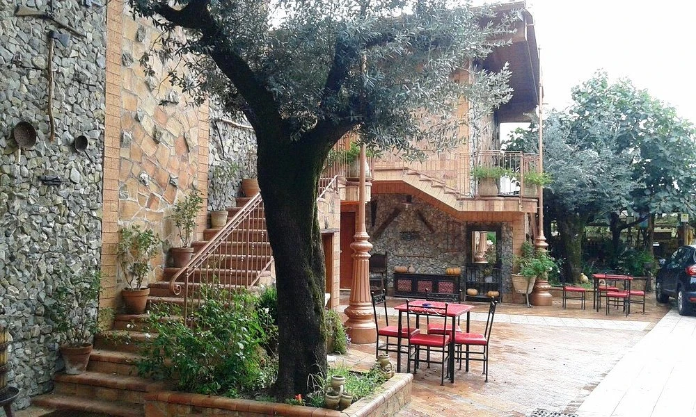 Cortile dell'albergo con ulivo