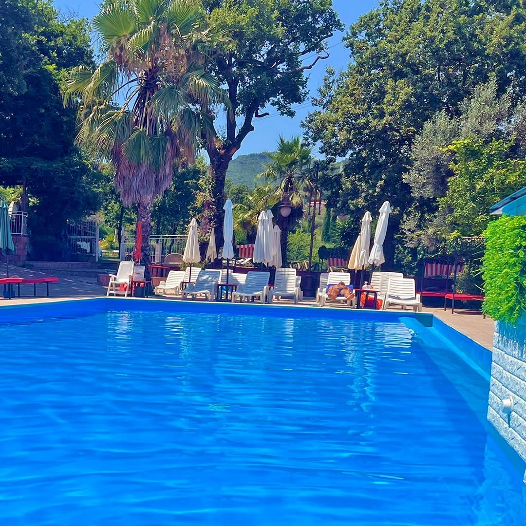 La piscina tra palme e alberi